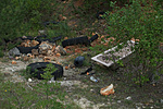 DSC07590 DSC07590