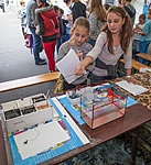 Mindent kipróbálhatsz Mindent kipróbálhatsz