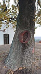 Közelebbről Közelebbről