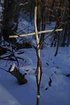 Fába álmodva így látott Mudman, Csehvár fölött, a Börzsönyben. Fába álmodva így látott Mudman, Csehvár fölött, a Börzsönyben.