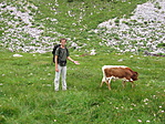 Julia-Alpokban tehenekkel :) Julia-Alpokban tehenekkel :)
