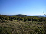 Bakonyi barangolások Bakonyi barangolások