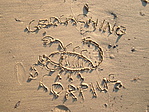 Scorpius a Gödi Homokszigeten Scorpius a Gödi Homokszigeten