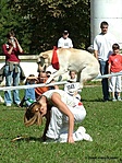 Dog Dancing Dog Dancing