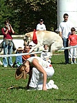 Dog Dancing