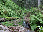 Szintén Erdély 2005 Szintén Erdély 2005