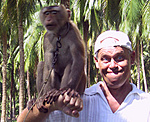 Koh Samui - Monkey farm Koh Samui - Monkey farm