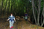 Komlóskán Komlóskán