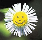 Smile again! Smile again!