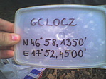 Loczy Loczy