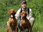 Szamóca, Huncut-a két lökött vizsla, akik majdnem mindig elkísérnek-és én Szamóca, Huncut-a két lökött vizsla, akik majdnem mindig elkísérnek-és én