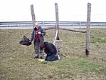 autóut mellett autóut mellett