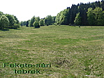 Bükk. Fekete-sár Bükk. Fekete-sár