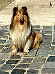 Jómagam Jómagam