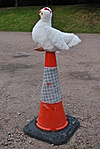 VLC media player VLC media player