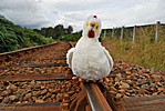 Trainspotting Trainspotting
