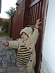 a minikesser :-) a minikesser :-)