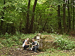 Pilis-Kárpát forrás Pilis-Kárpát forrás
