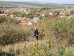 Bozótból KI... Bozótból KI...