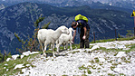 Vogel csúcs (SLO) Vogel csúcs (SLO)