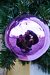 Vác 2013 December Vác 2013 December