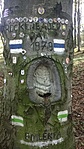 Rockenbauer emlékfa Vértes Rockenbauer emlékfa Vértes