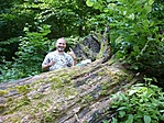 Logolás a Hidasi-völgyben <a href="http://geocaching.hu/caches.geo?id=795">GCHIDA</a> Logolás a Hidasi-völgyben <a href="http://geocaching.hu/caches.geo?id=795">GCHIDA</a>