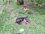 Figyelem a ládát :) Figyelem a ládát :)