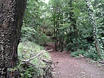 GCange_20160515165712 GCange_20160515165712