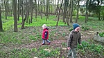 WP_20170406_17_36_20_Pro WP_20170406_17_36_20_Pro