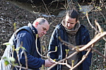 IMG_7472 IMG_7472