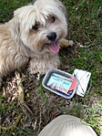IMG_20190601_122643 IMG_20190601_122643