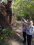IMG_20191013_140609 IMG_20191013_140609