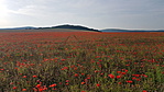 20190610_184124 20190610_184124