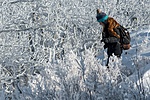 láda elhavazás a Börzsönyben láda elhavazás a Börzsönyben