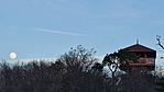 20210127_162540 20210127_162540