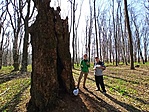 600. találat a Gerecse-tetőn, a nagyapámmal 600. találat a Gerecse-tetőn, a nagyapámmal